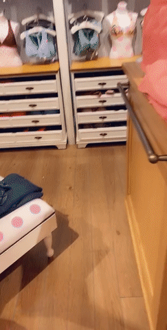 Follando con frenesí (45)
 #104338013