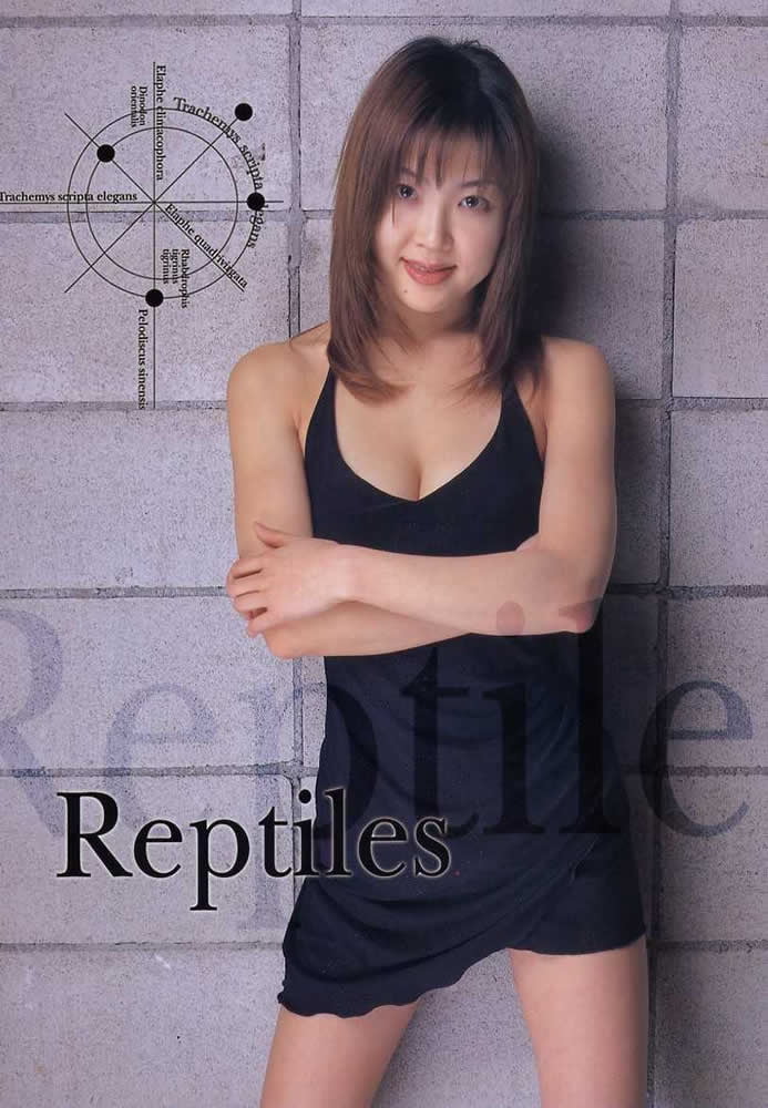 Japanese urabon &#039;&#039;Reptiles&#039;&#039; #98522431