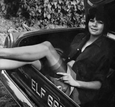 ヴィンテージ・ストッキング 12
 #103600274