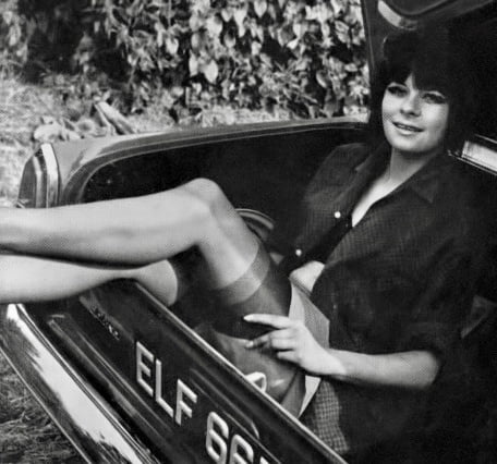 ヴィンテージ・ストッキング 12
 #103600276