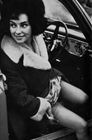 ヴィンテージ・ストッキング 12
 #103600304