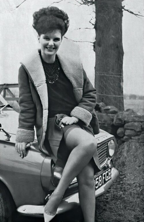 ヴィンテージ・ストッキング 12
 #103600311