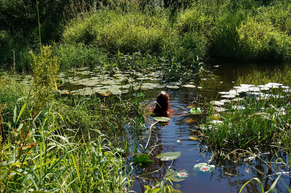 Nu dans la rivière paresseuse
 #88276843