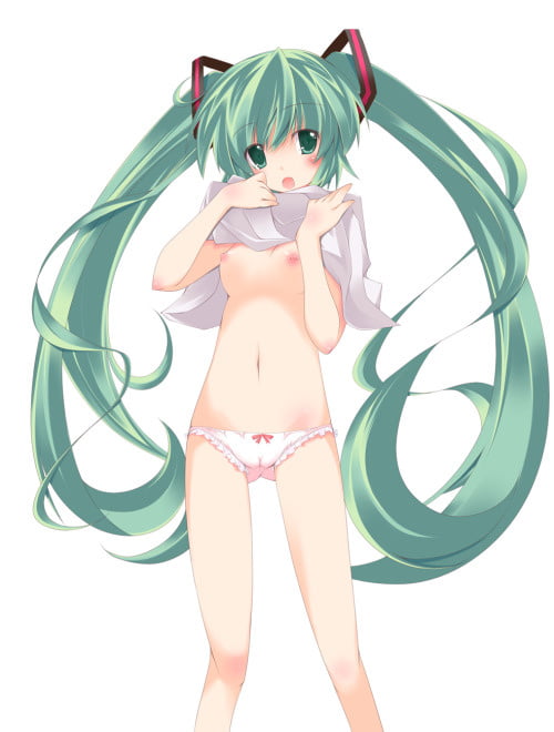 Hatsune miku : superstar de l'internet waifu's
 #88053360