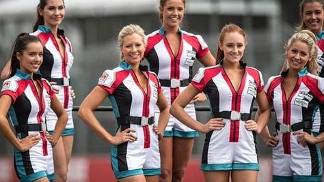 04 - Paddock Girls #88418207