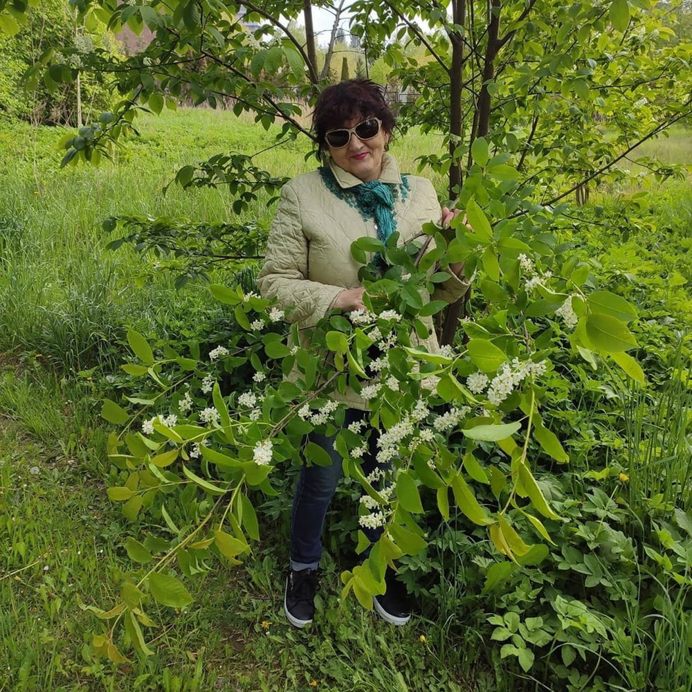 ljuhamb (Millade B) #88390324