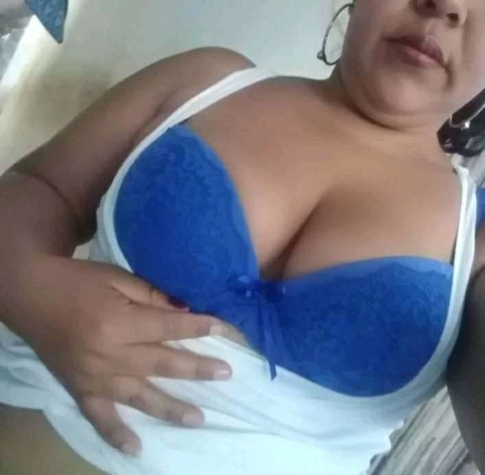 gatas  diversas 2020 #90600587