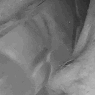 Random chuck and chicky GIFS #102786196