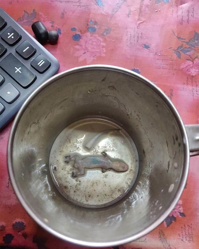 Nicht mein tag 01 - not my day
 #81198539