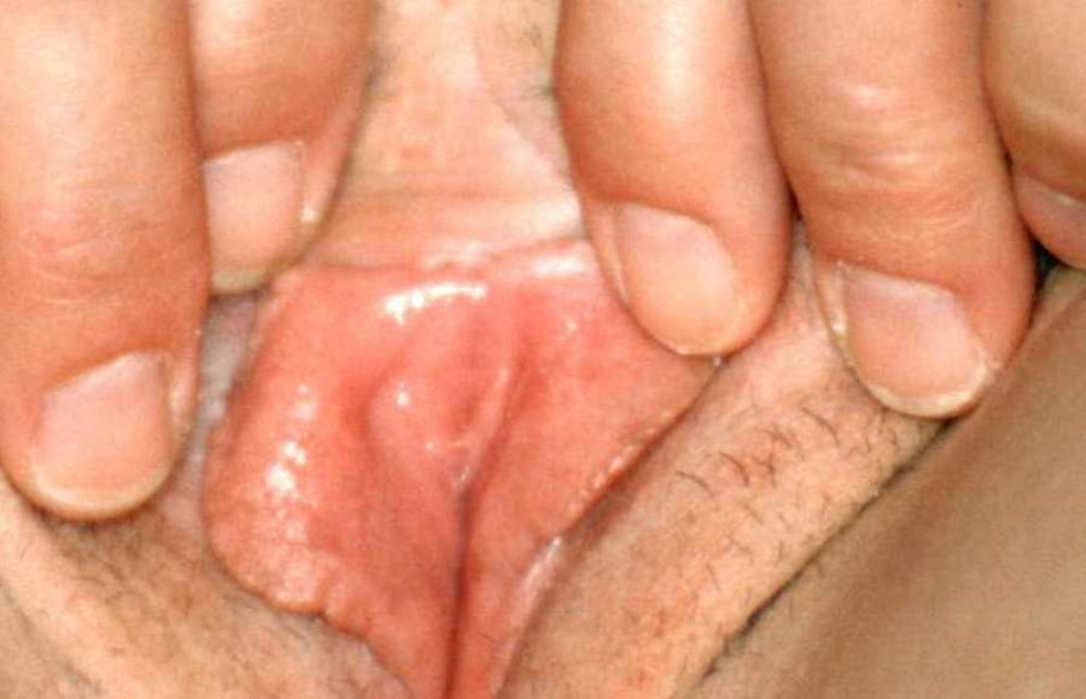 Maravillosa madura (25)
 #80590228