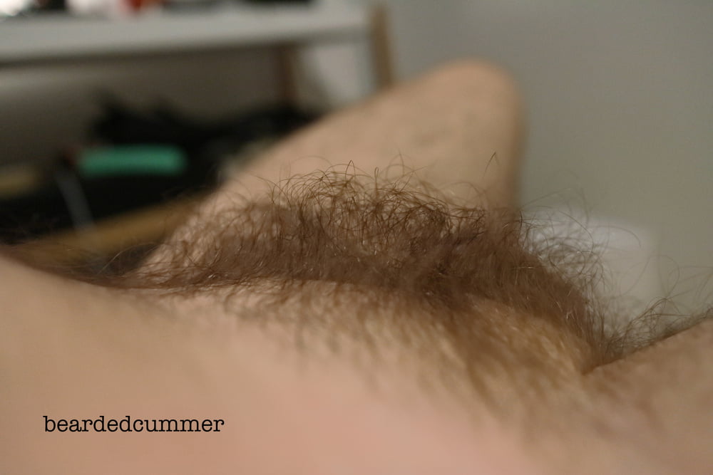 Hairy Bear shows off pits, chest, cock #107113572