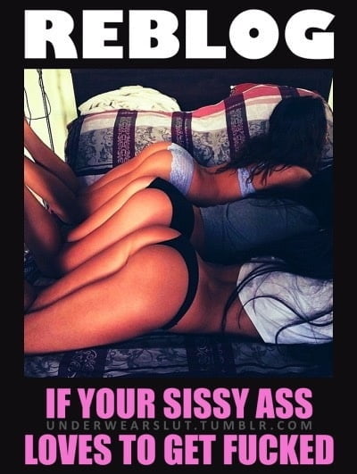 Sissy captions I like #105137048