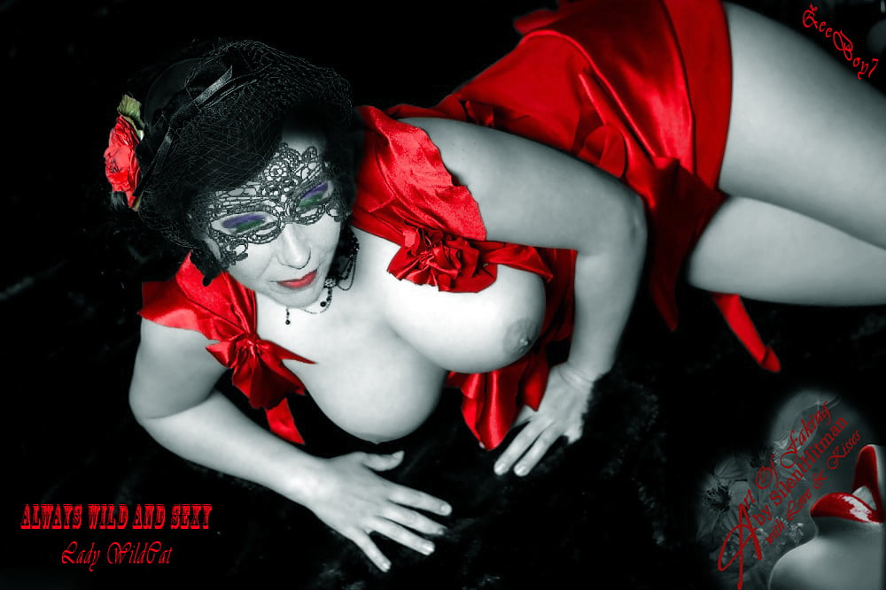 My Goddess WildCat-Lady In Red #102905522