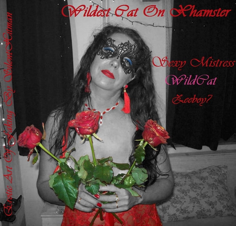 My Goddess WildCat-Lady In Red #102905559