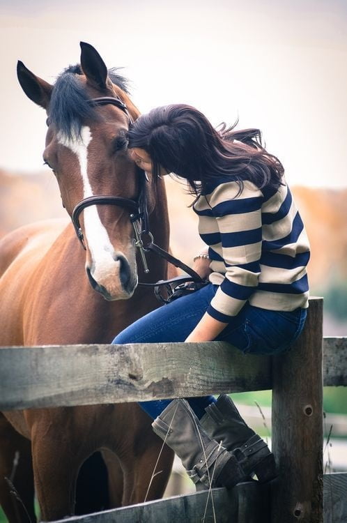 Cowgirl-Equestrian #95721659