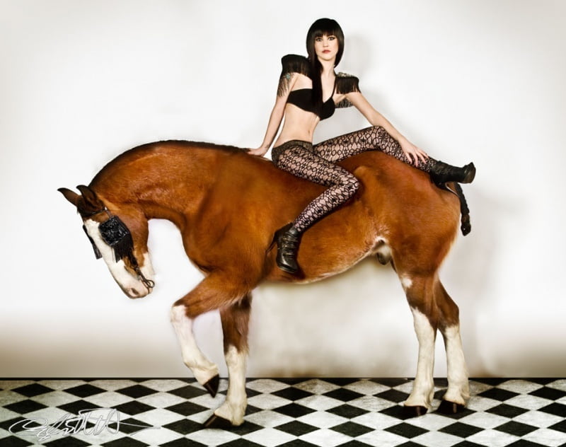 Cowgirl-Equestrian #95721665