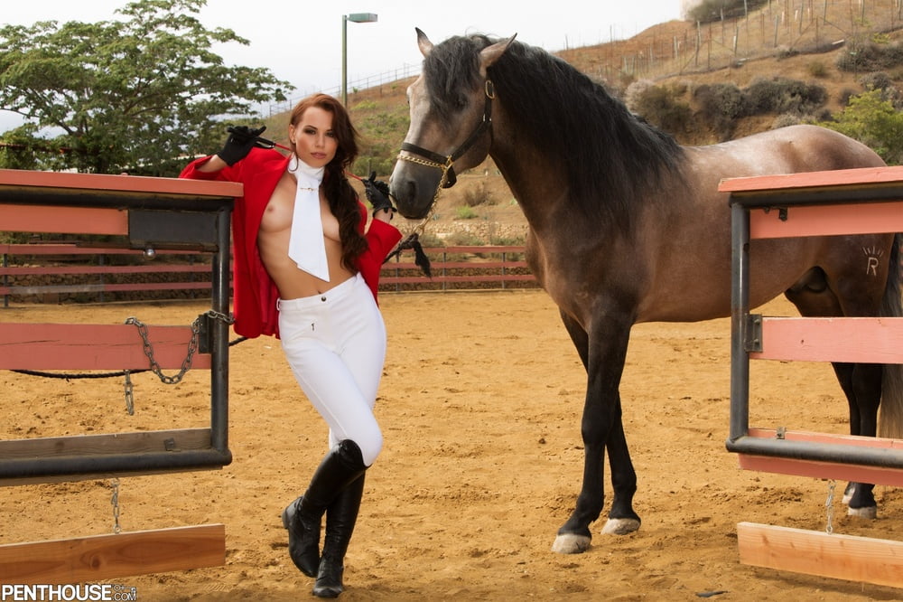 Cowgirl-Equestrian #95721671