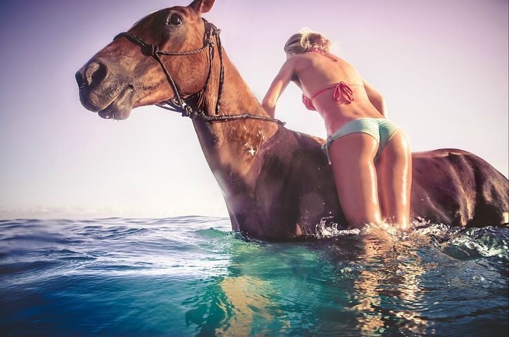Cowgirl-Equestrian #95721686