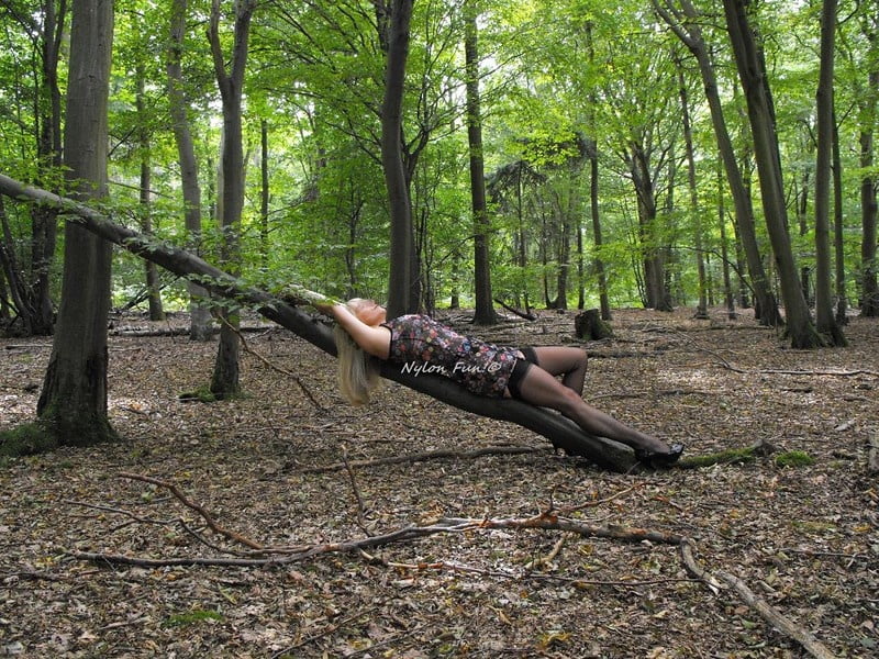 Stockingtop 19
 #80381043