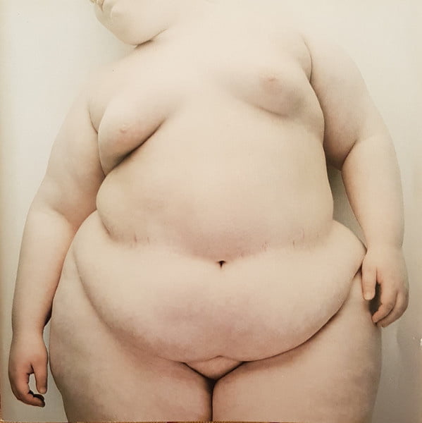 Northern Whale #82321417