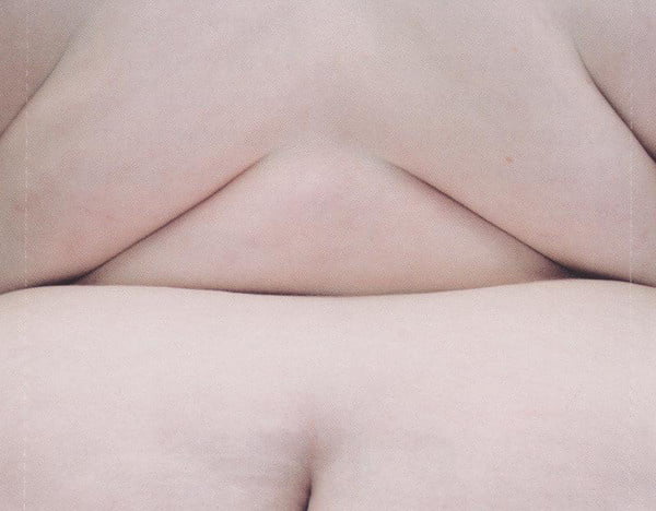 Northern Whale #82321419