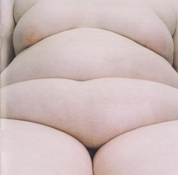 Northern Whale #82321421