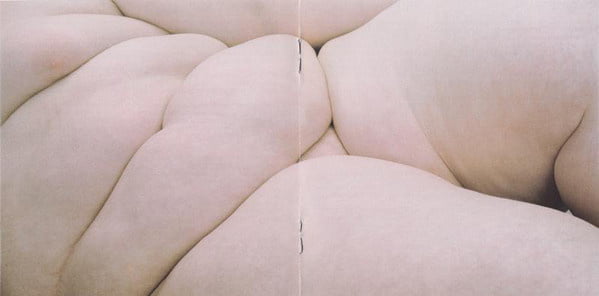 Ballena del Norte
 #82321423