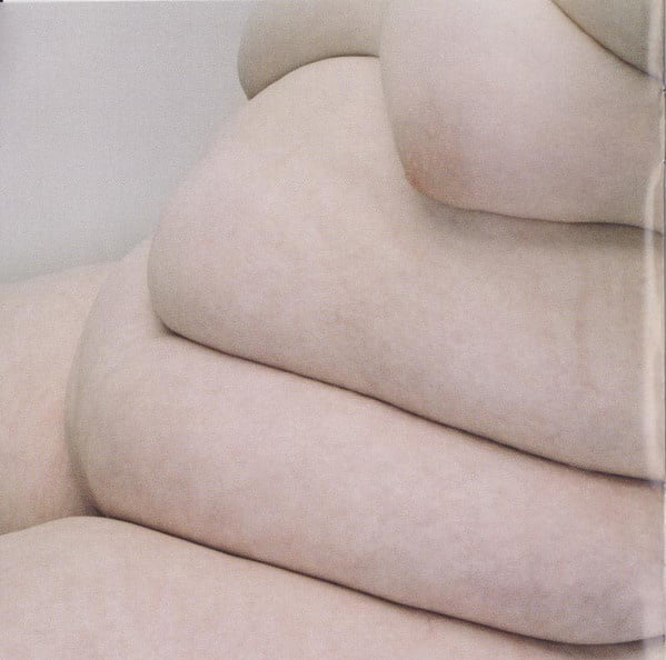 Northern Whale #82321425