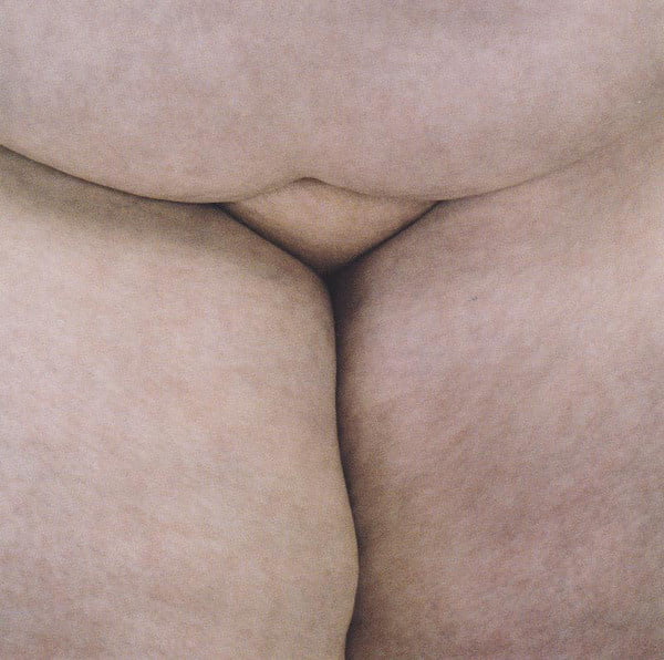 Northern Whale #82321426