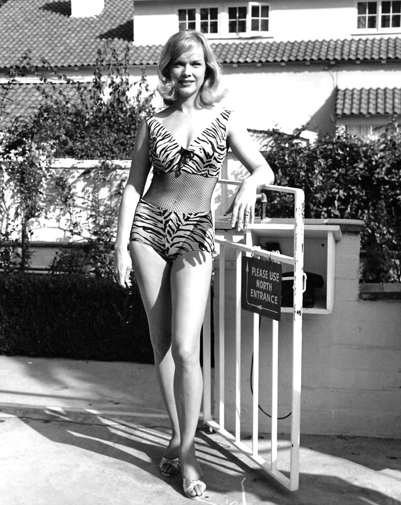 Celebrity Boobs - Anne Francis #79671899