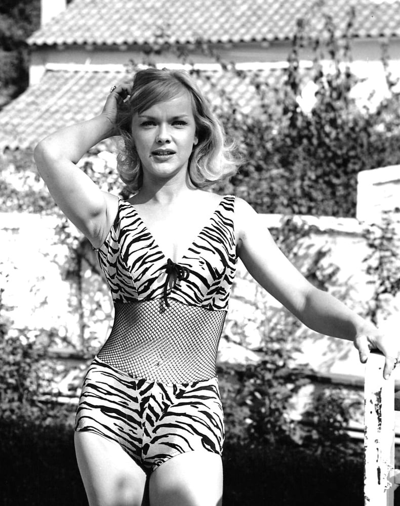 Celebrity boobs - anne francis
 #79671900