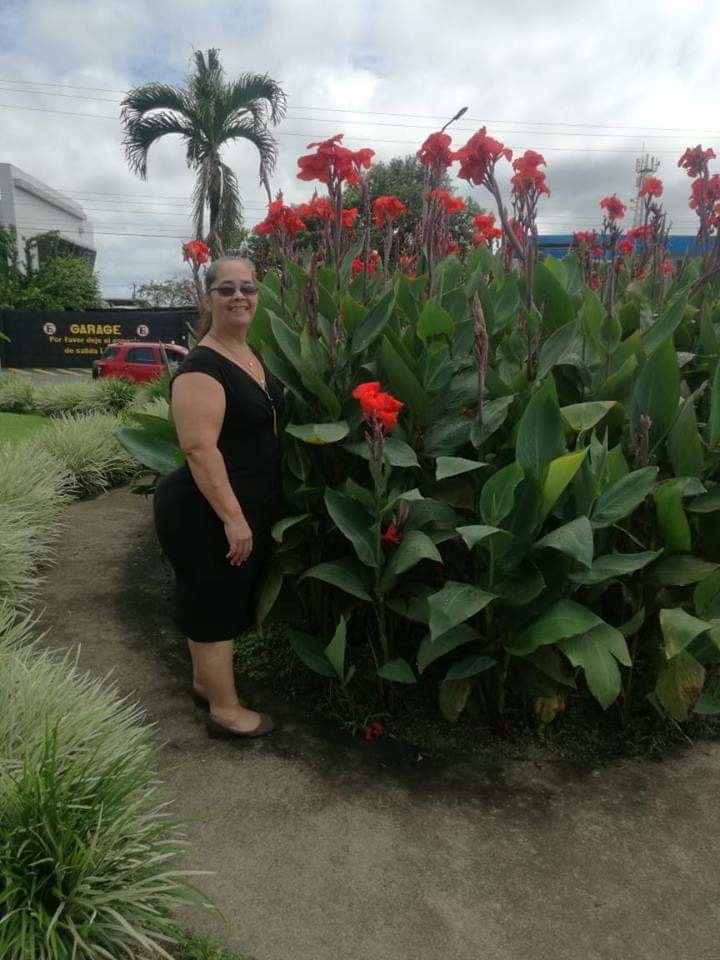 MEGACULAZOS #94019313