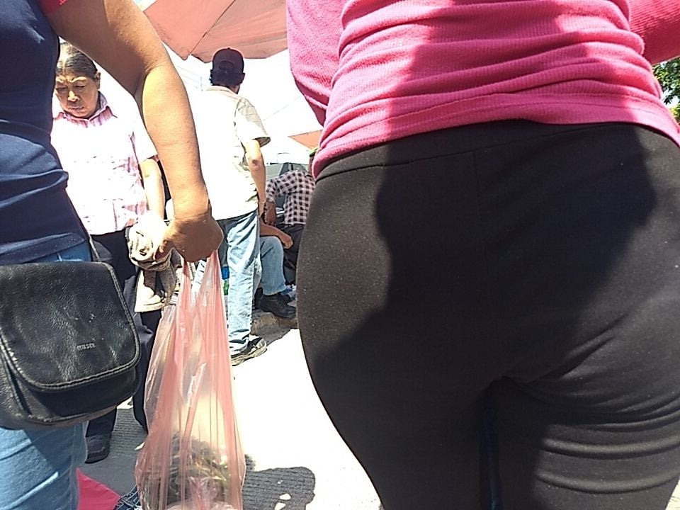 Surti voyer
 #81079027