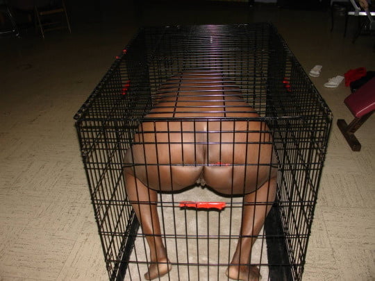 Willy wonka's hideout（ウィリー・ウォンカの隠れ家
 #91231776