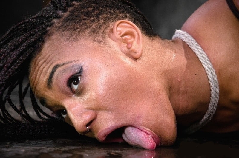 Willy wonka's hideout（ウィリー・ウォンカの隠れ家
 #91231890