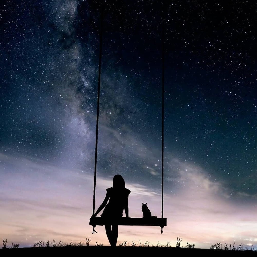 purrfection #96718752