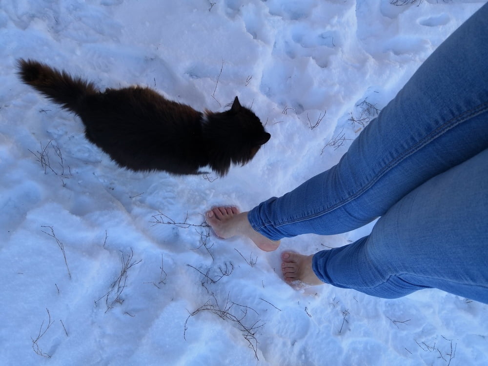 purrfection #96718760