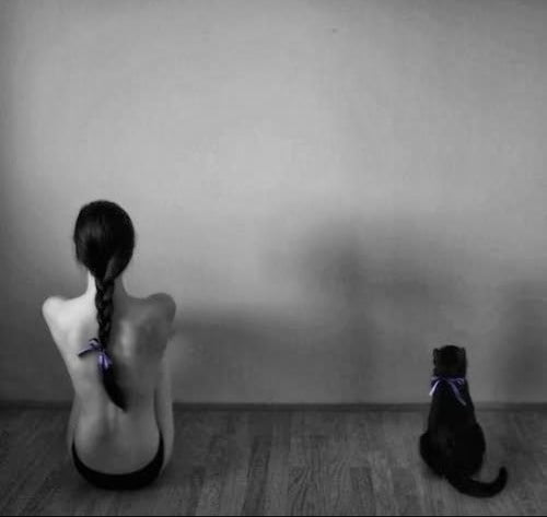 purrfection #96718767