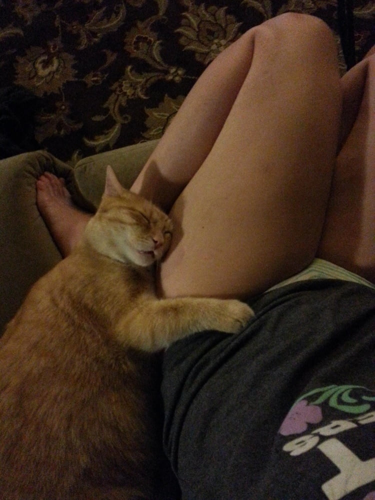 purrfection #96718768