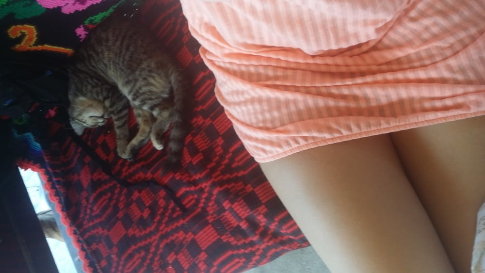 purrfection #96718769