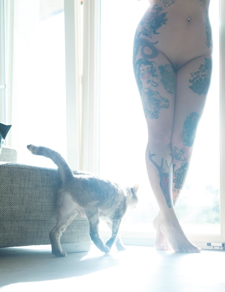 purrfection #96718772