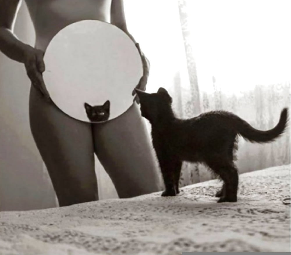 purrfection #96718779