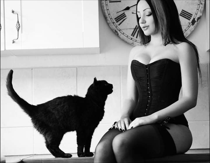 purrfection #96718781