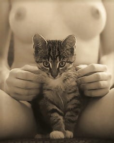 purrfection #96718783