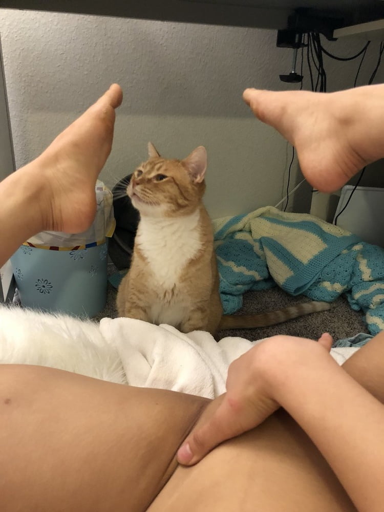 purrfection #96718789