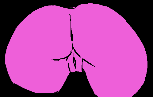 Pixxxart - gifs sexy
 #87635370