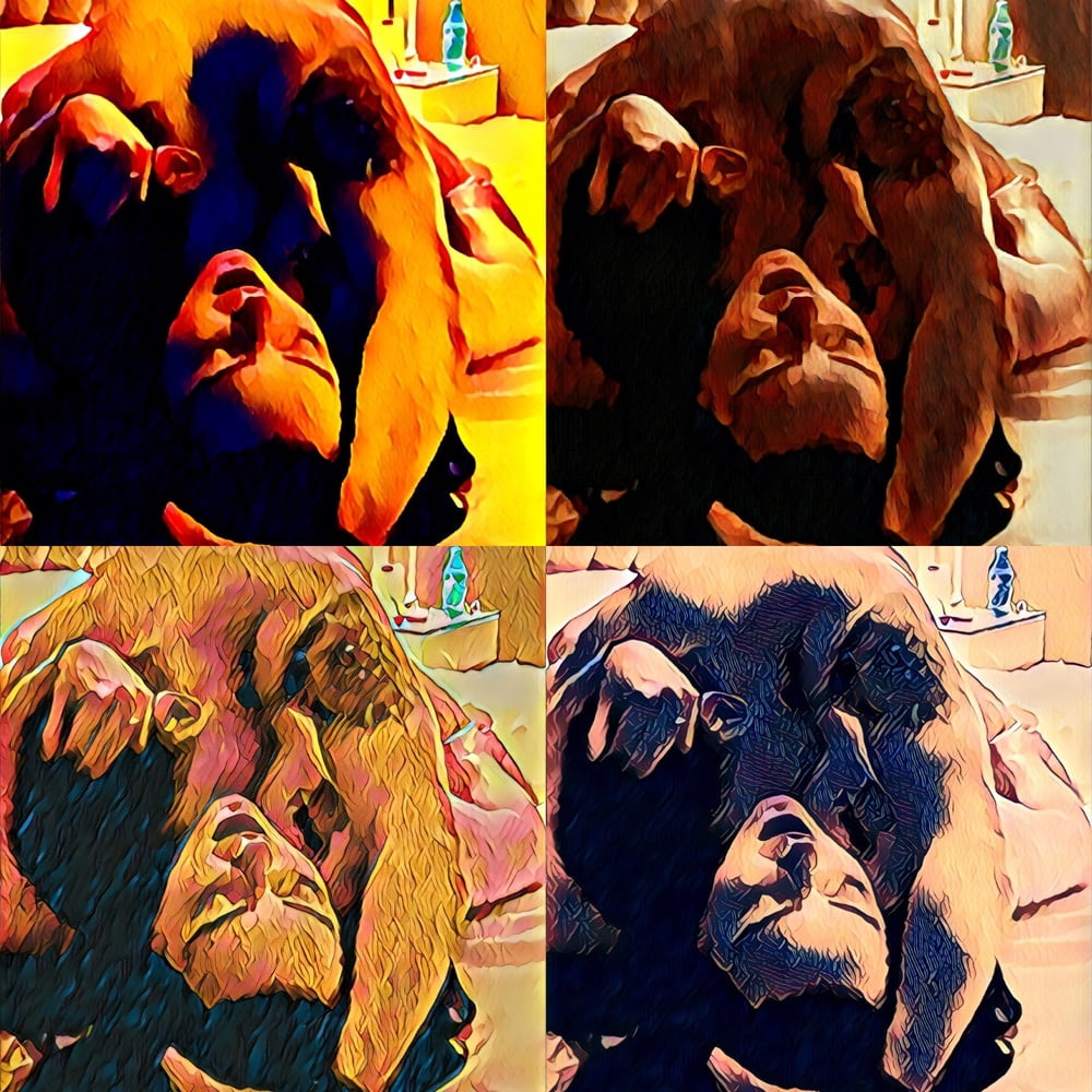 Orbital Observations #92559476