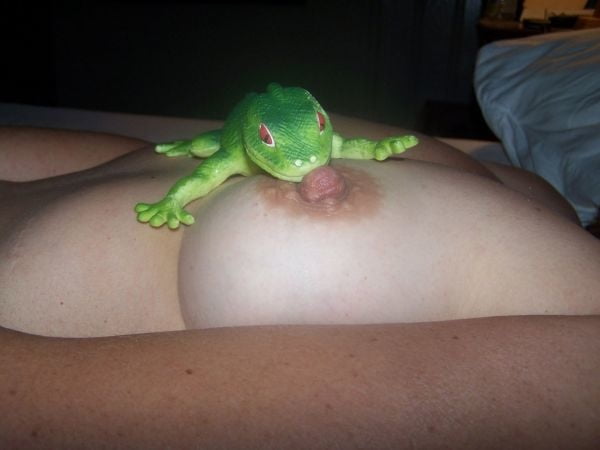 Todo tipo de cosas
 #82237287