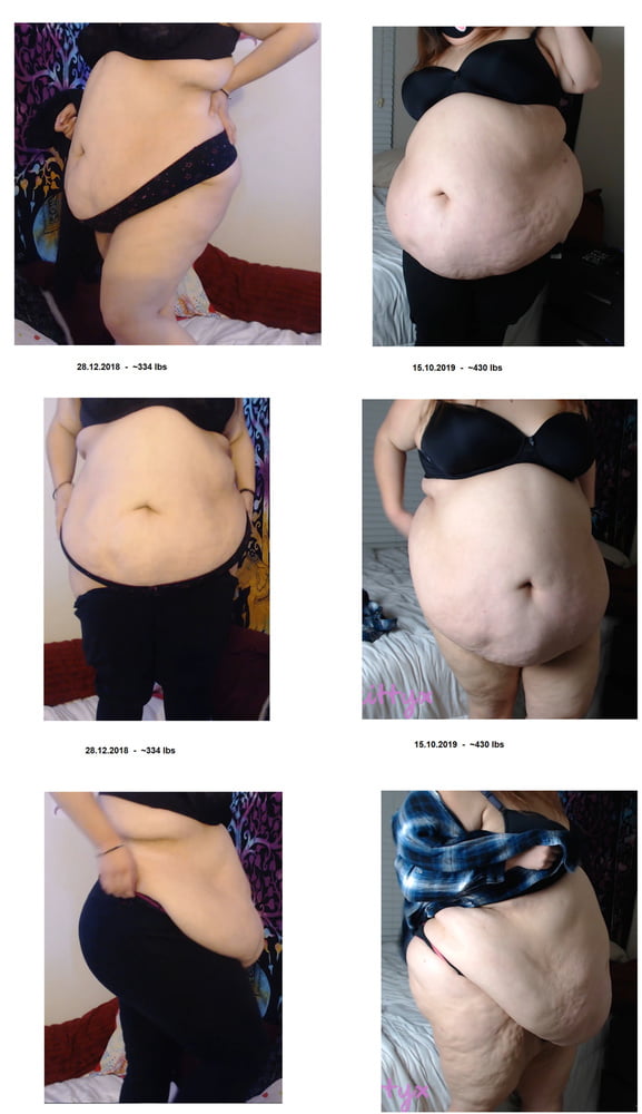 Comparación de los alimentadores pt.38
 #88487235