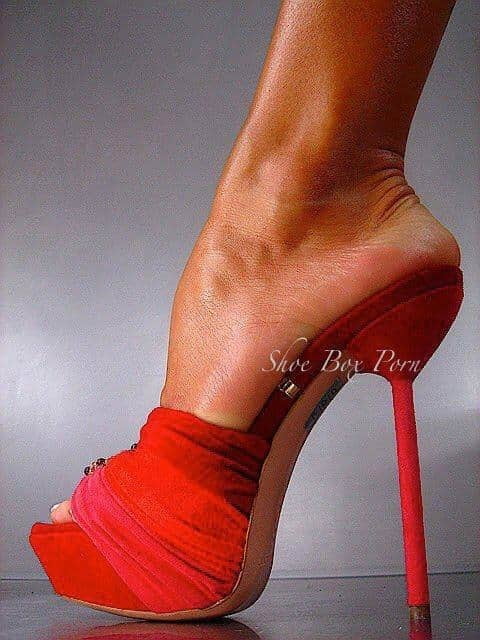 Plataforma
 #90011588